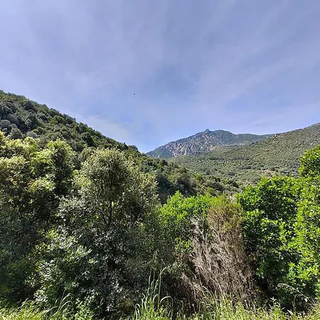 Ajaccio-villa Moderne Et Familiale 4* Ajaccio (Corsica)